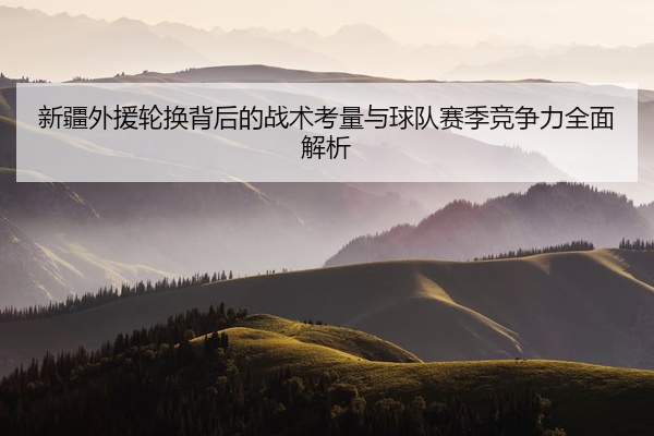新疆外援轮换背后的战术考量与球队赛季竞争力全面解析